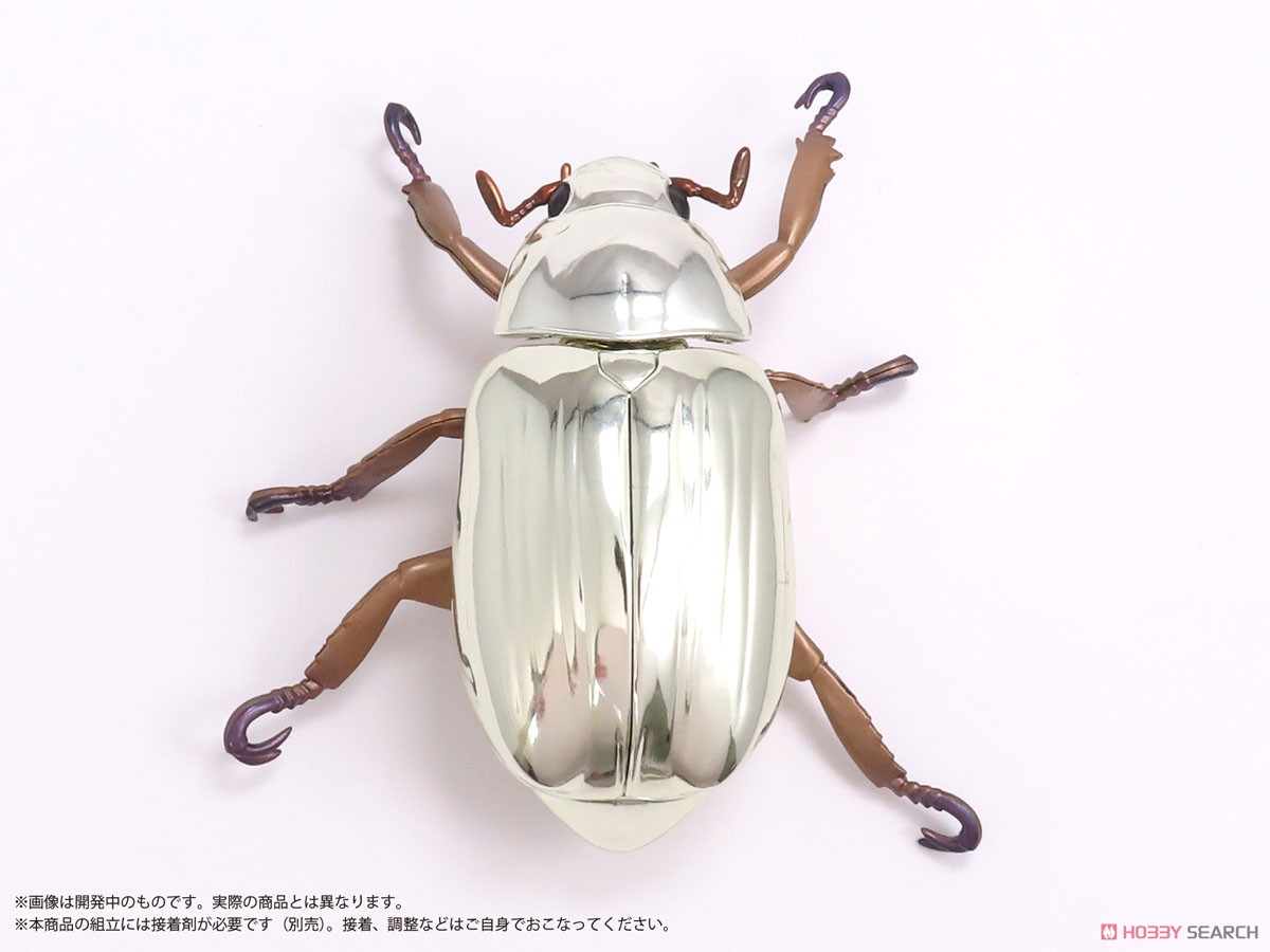 パナマ産オプティマプラチナコガネ