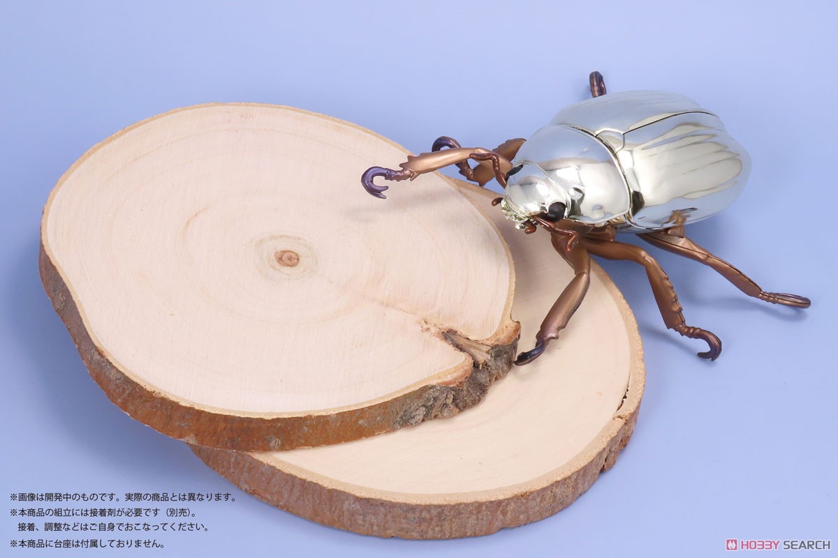 コスタリカ産 リンバータプラチナコガネ 22mm プラチナコガネ(リン