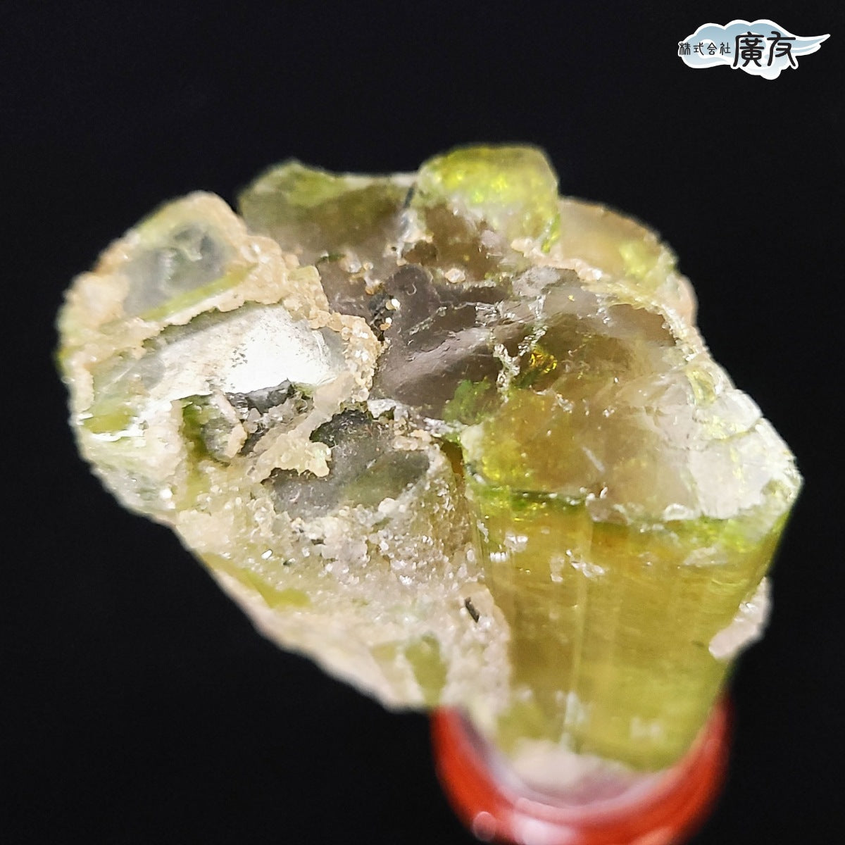 ウォーターメロントルマリン原石(台付) 現品限り(廣友)【新商品