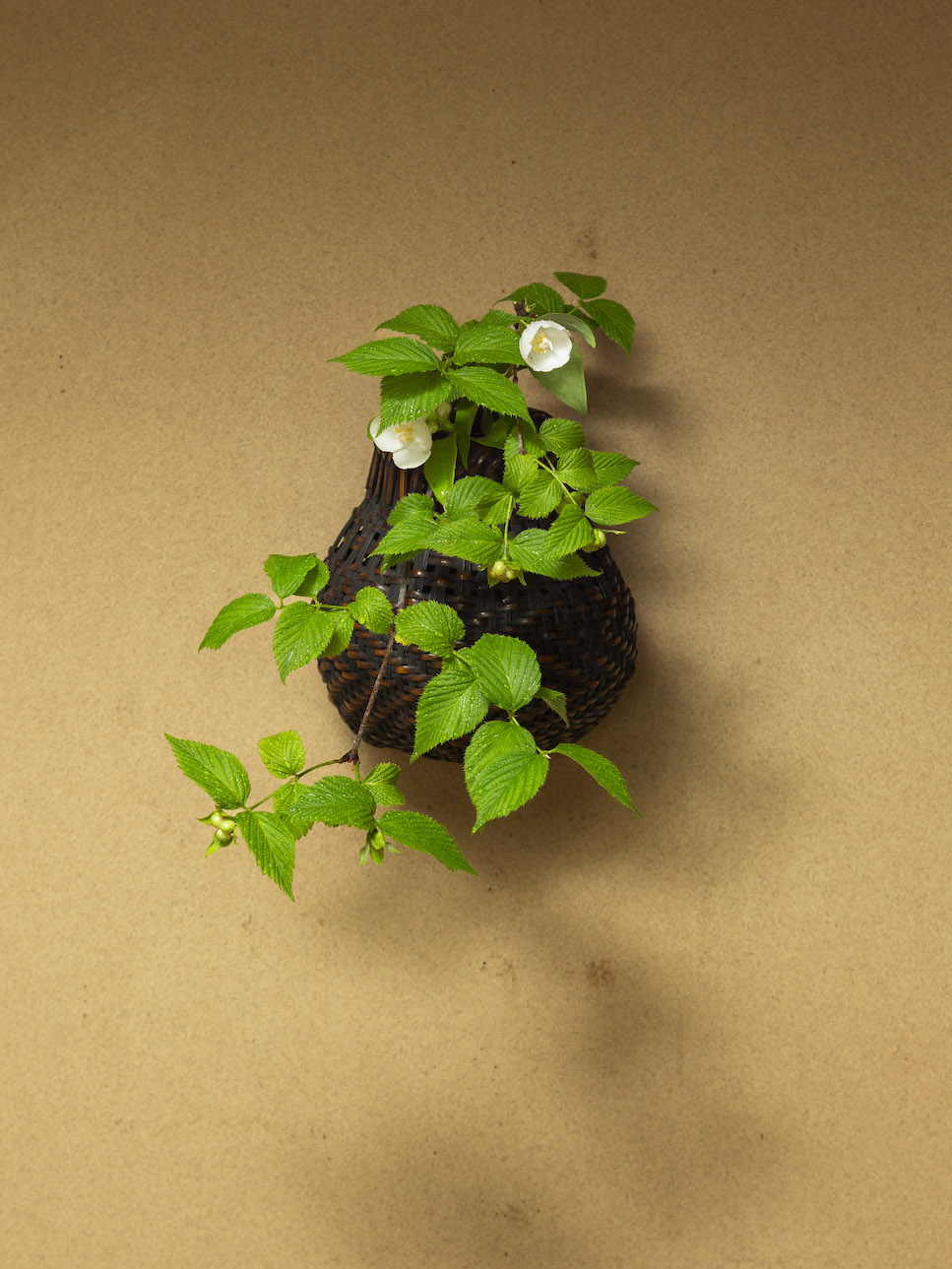 縄文 掛け花入れ 鐶付 オンライン 通販ホビー・楽器・アート - 縄文