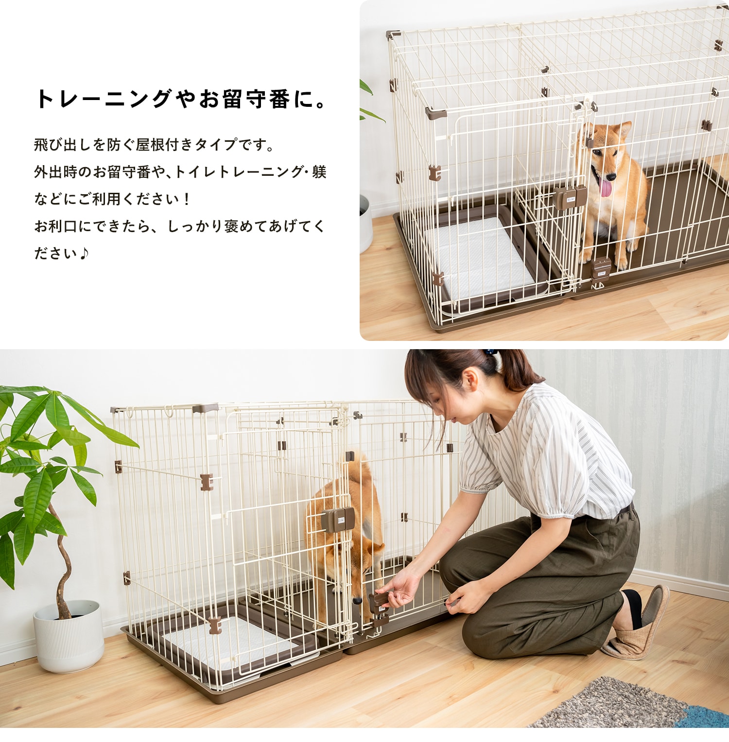 2ルームサークル(アンティークホワイト): ペット|ホームセンター