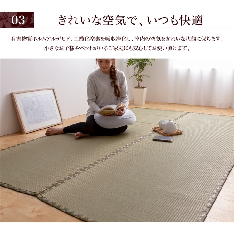 い草上敷き 慶次 江戸間1帖(江戸間1帖): 家具・インテリア・収納用品
