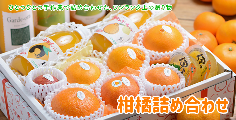 みかん様 みかん様 みかん様 みかん様 ミカン様 ミカン様 蜜柑様