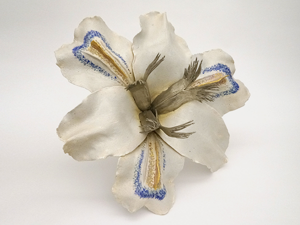 葉化石皿 (杉浦康益 作) 葉化石皿 (杉浦康益 作) 杉浦康益 陶の博物誌 展 |