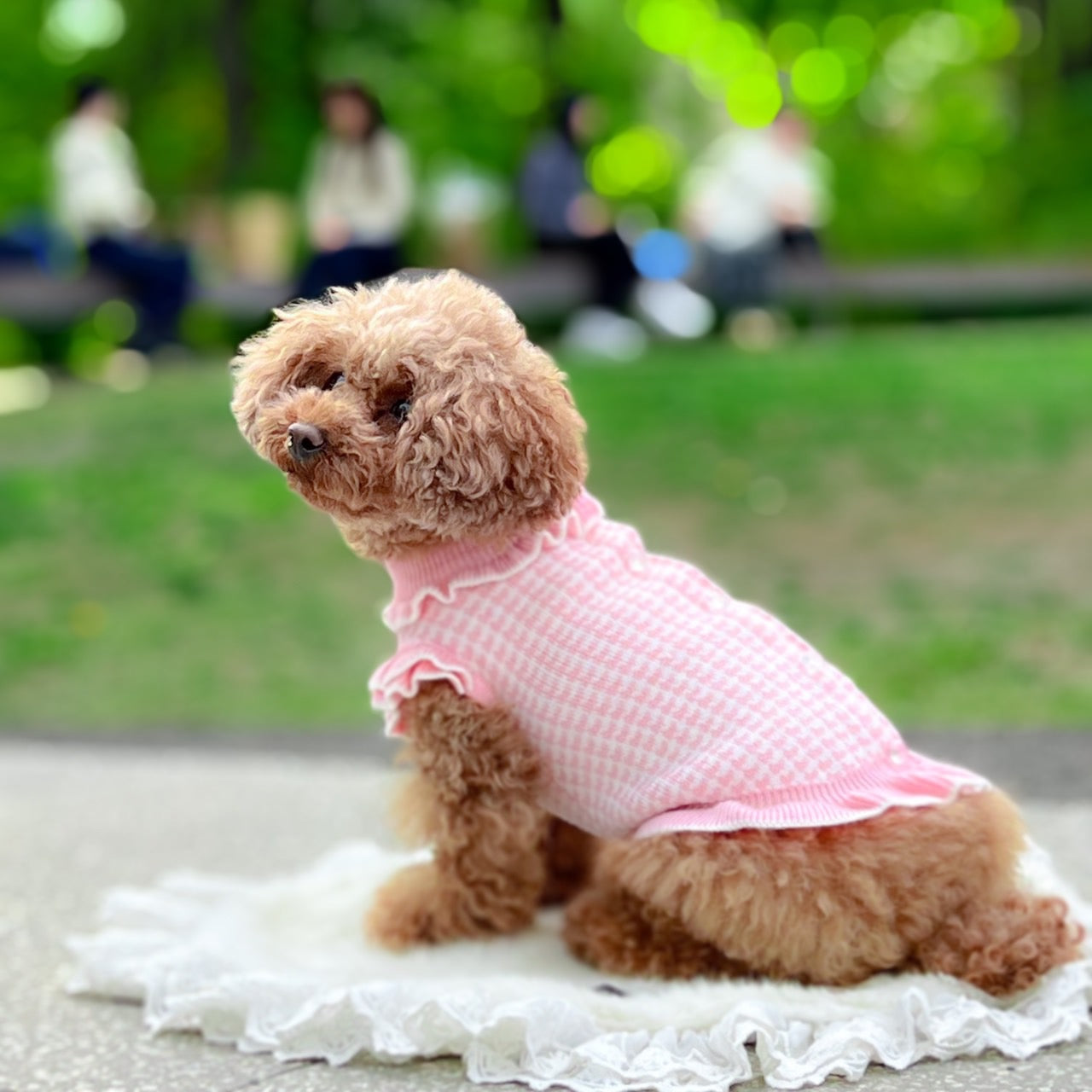 カシミヤ混千鳥柄ワンピース | 犬服 小型犬 ドッグウェア 秋冬 KALINA