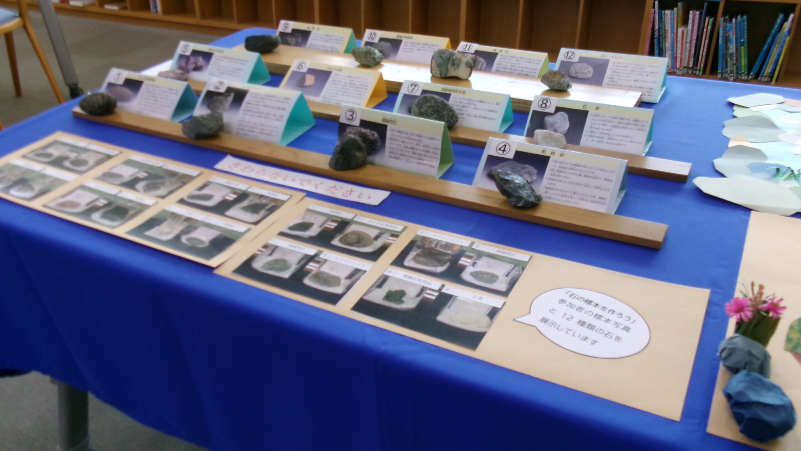 石の標本を作ろう」石の目録 | NPO法人 紙のまち図書館
