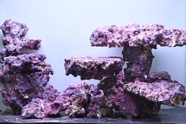 人工ライブロック 19.5㎏