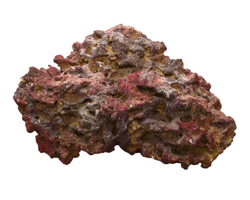 カリブシー CSライフロック：海水用品 ～神畑養魚株式会社～