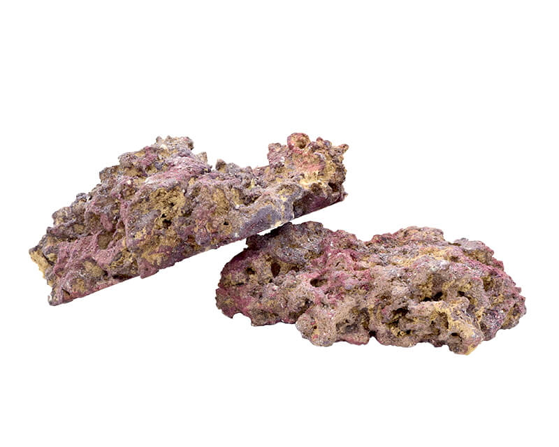 カリブシー CSライフロック：海水用品 ～神畑養魚株式会社～