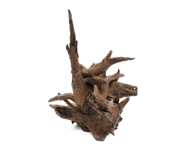 ホーンウッド ada アクアリウム 流木 水草レイアウト 水槽 NATURE IN