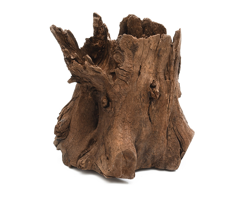 タイ産天然流木 ツリーボトムウッド：石・流木 ～神畑養魚株式会社～