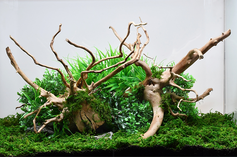 MMW-6141 マシンガンウッド 1点物 流木 アクアリウム MMW-5587