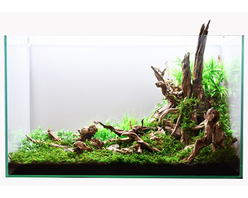 MMW-6141 マシンガンウッド 1点物 流木 アクアリウム MMW-5587