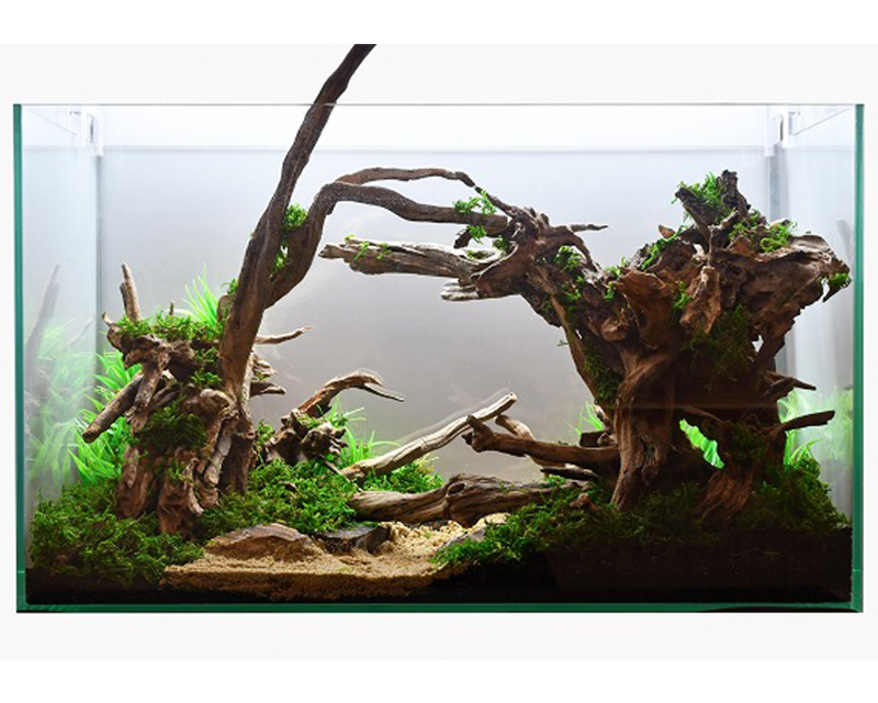 30cm水槽用 流木3本セット（ナチュラル色）【AQUASHOP wasabi