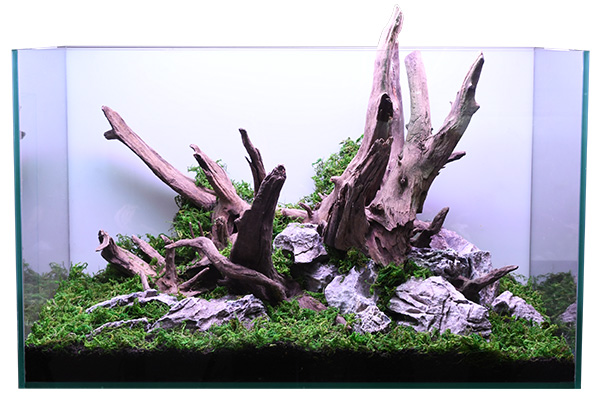 流木 ブランチウッド ホーンウッド 水景 レイアウト 他枝流木 細めの枝