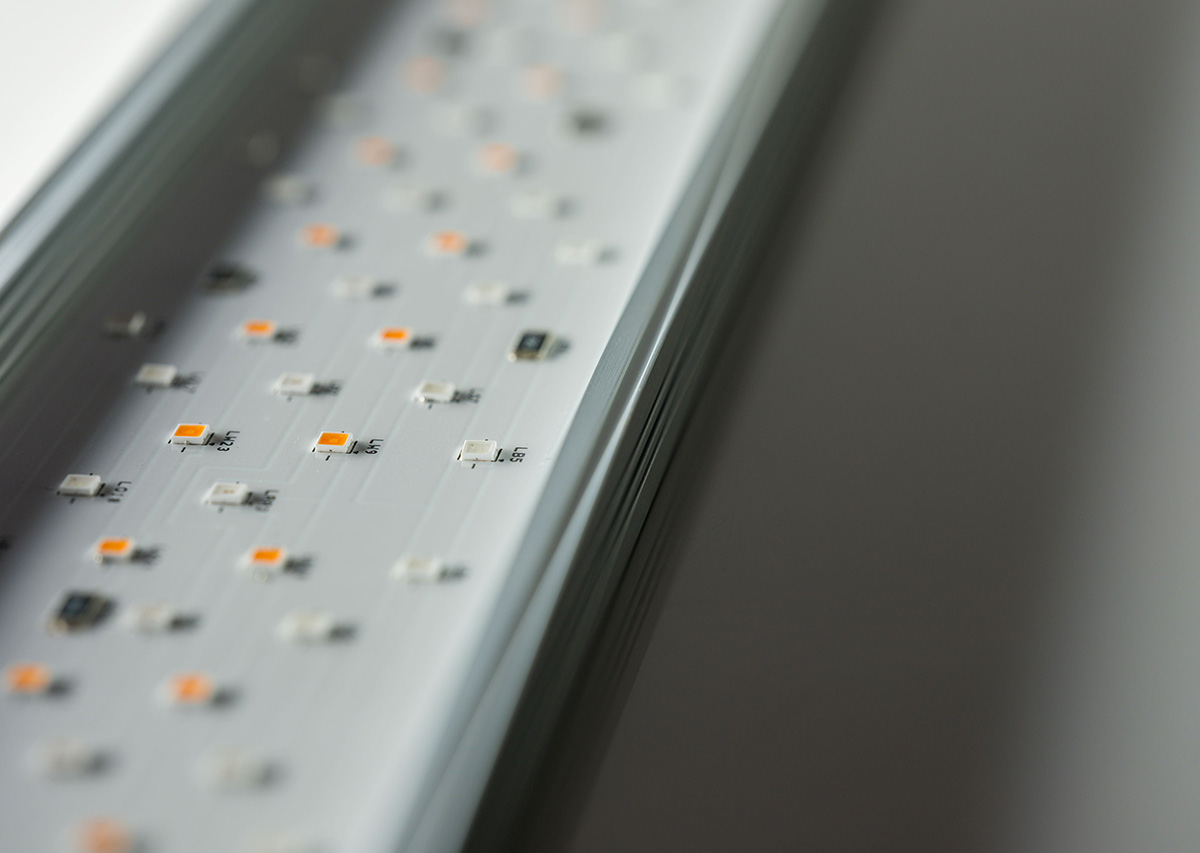 E-LINE Ver.Ⅳ ：twinstar(ツインスター) ：照明 ～神畑養魚株式会社～