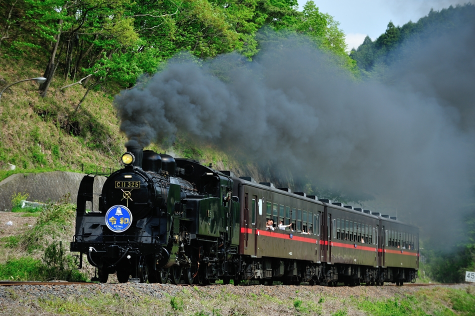 Kano鉄道局 C11 325