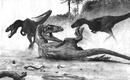 三角州の疾走者こと、デルタドロメウスの歯化石（Deltadromeus agilis