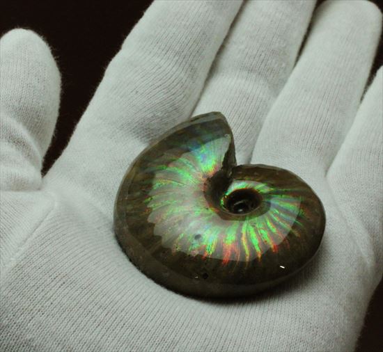 両面レインボー！マダガスカル産光るアンモナイト化石 アンモナイト 販売