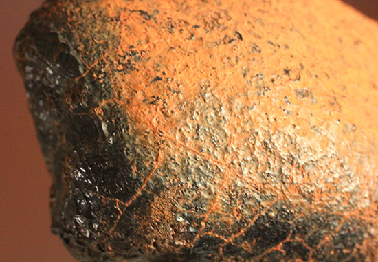 1960年10月落下、どこかの天体の地殻だった隕石ユークライト