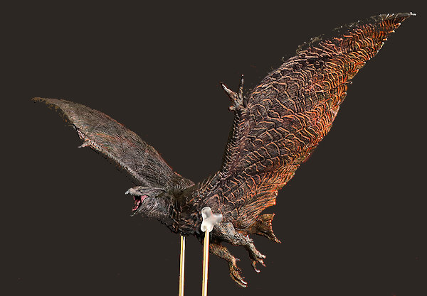 東宝大怪獣シリーズ ラドン2019 リック限定版 エクスプラス - KH COMPANY