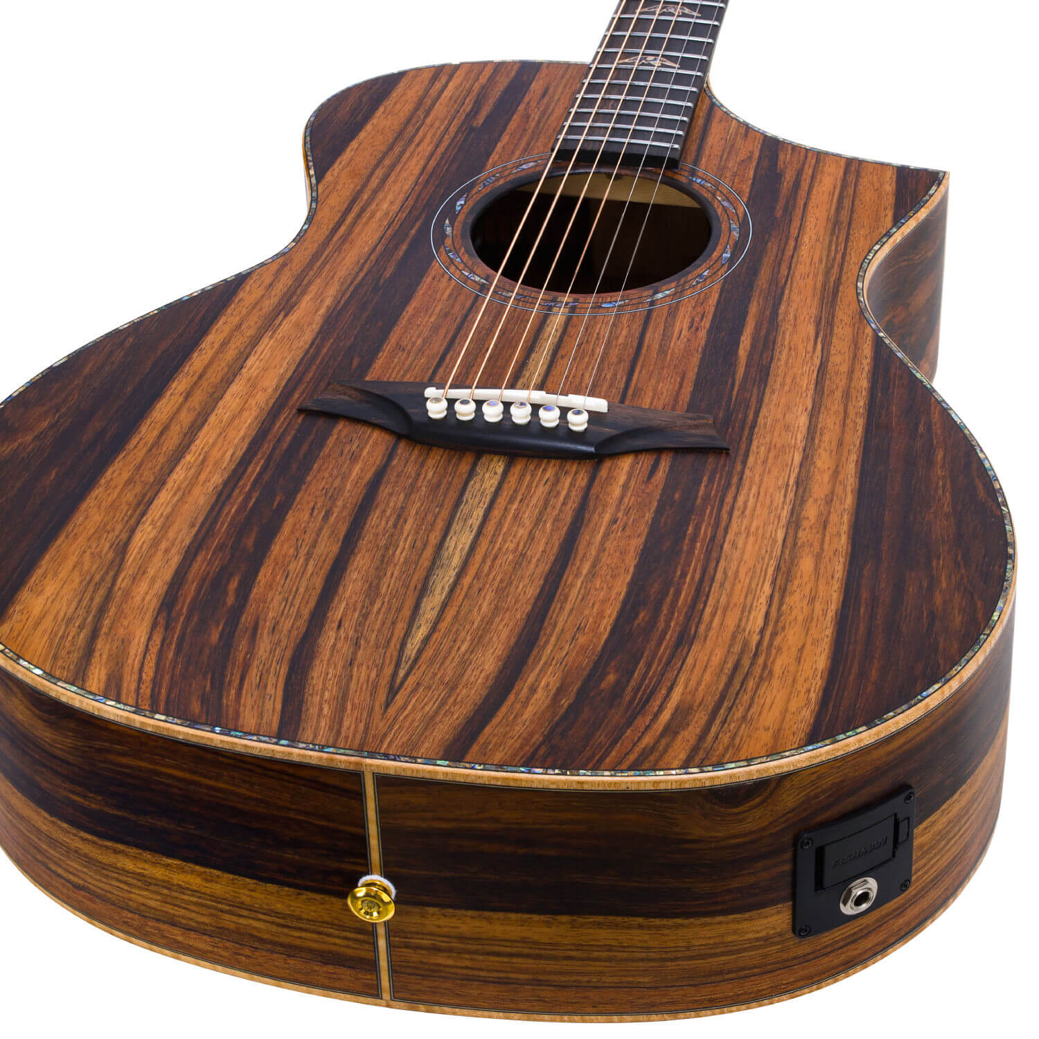 BAR4GCE | キクタニミュージック