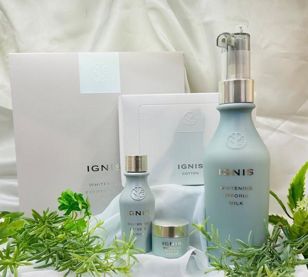 イグニス ホワイトニング エフフォーリア ミルク キット｜紹介記事