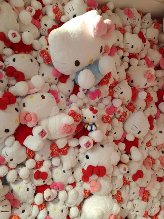 花マガ | 淡路花博20周年記念 花みどりフェア