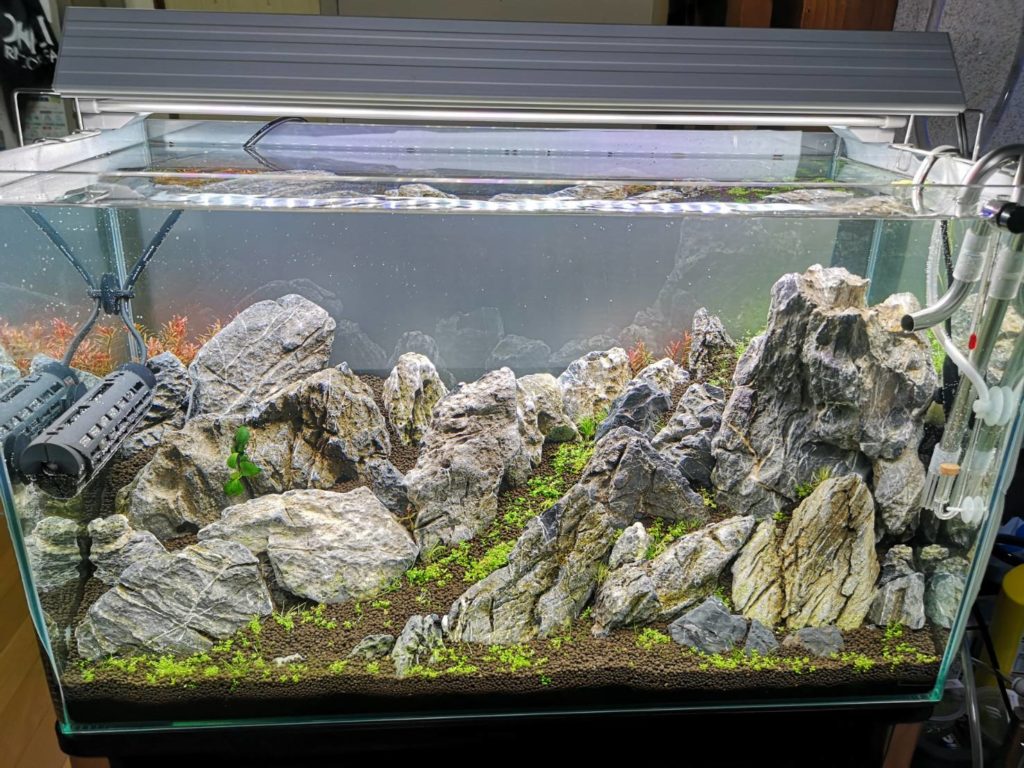 1[新品 親石付き]清流石15キロ☆青龍石 水槽 龍王石 レイアウト