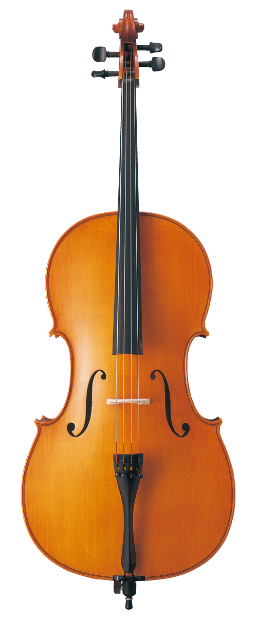 自宅用Gliga Gems Ⅱ G/Cコントラバス(国内4/4サイズ)