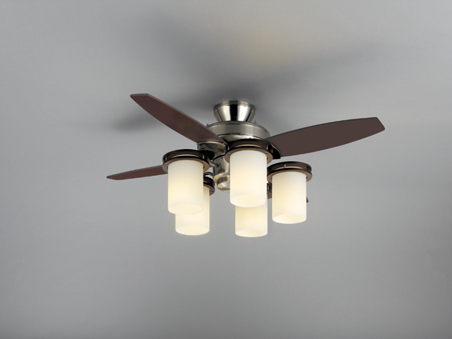 天井直付_XZF-155787RLSG