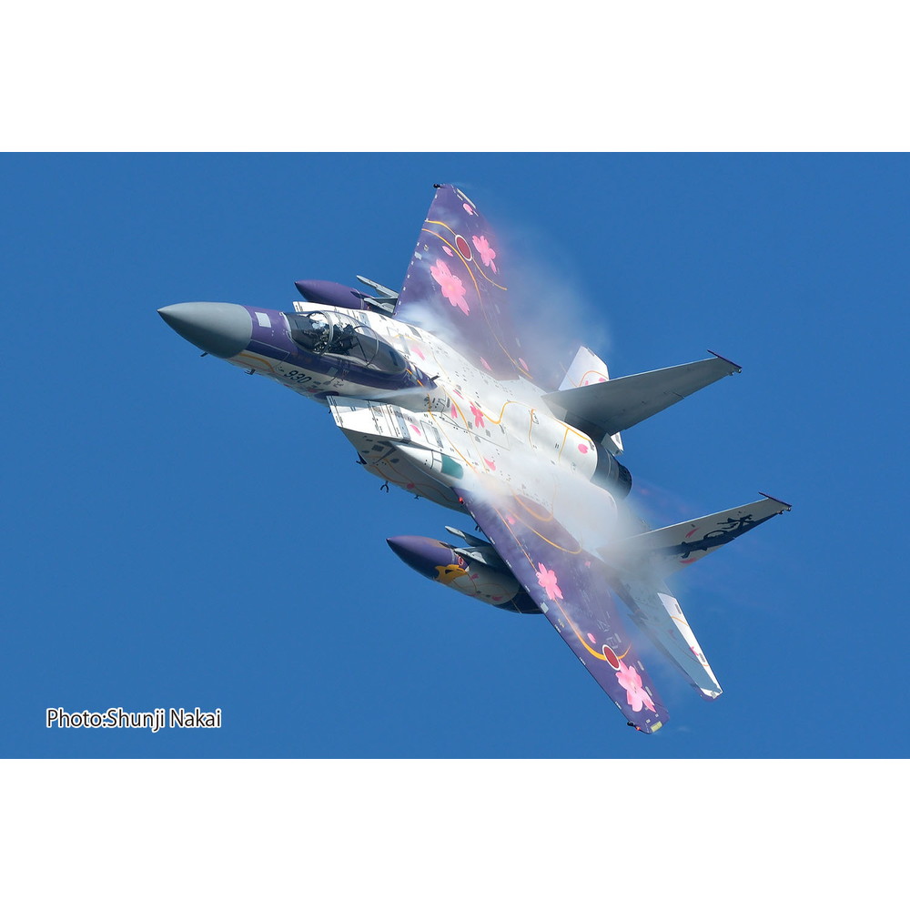 戦闘機 プラモデル 完成品 ハセガワ 1/48 F-15J イーグル 航空自衛隊 F