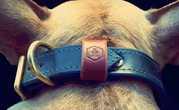 革製犬用リーシュ｜HOUNDWORTHY モノグラムラグジュアリーブライドル