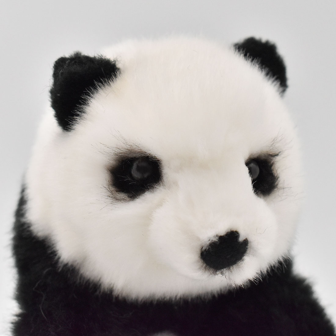 ジャイアントパンダ 16 | HANSA