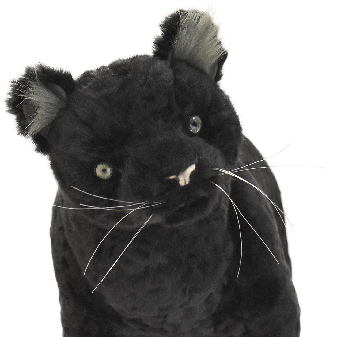 クロヒョウ 34 | HANSA