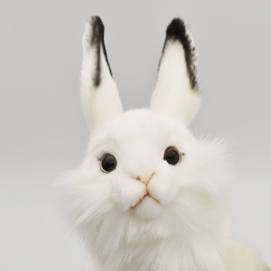宝物】アニマルパペット ウサギ