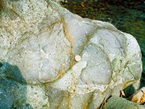 石ころ図鑑 堆積岩（丹沢の凝灰岩 7）