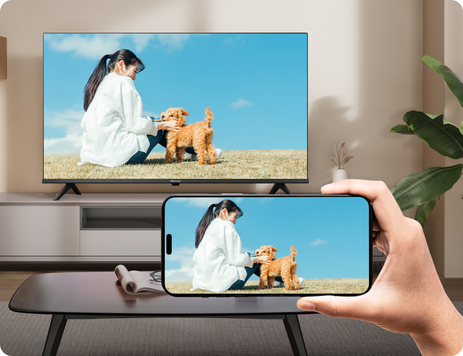 Hisense 65e7n pro 液晶テレビ + サウンドバー Hisense 65e7n pro 液晶