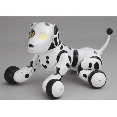 ハロー！ズーマー】ダルメシアン タカラトミー♪ Omnibot Hello