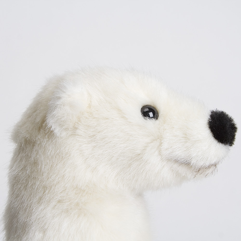 デンマーク生まれの大きい白熊クン デンマーク生まれの大きい白熊クン