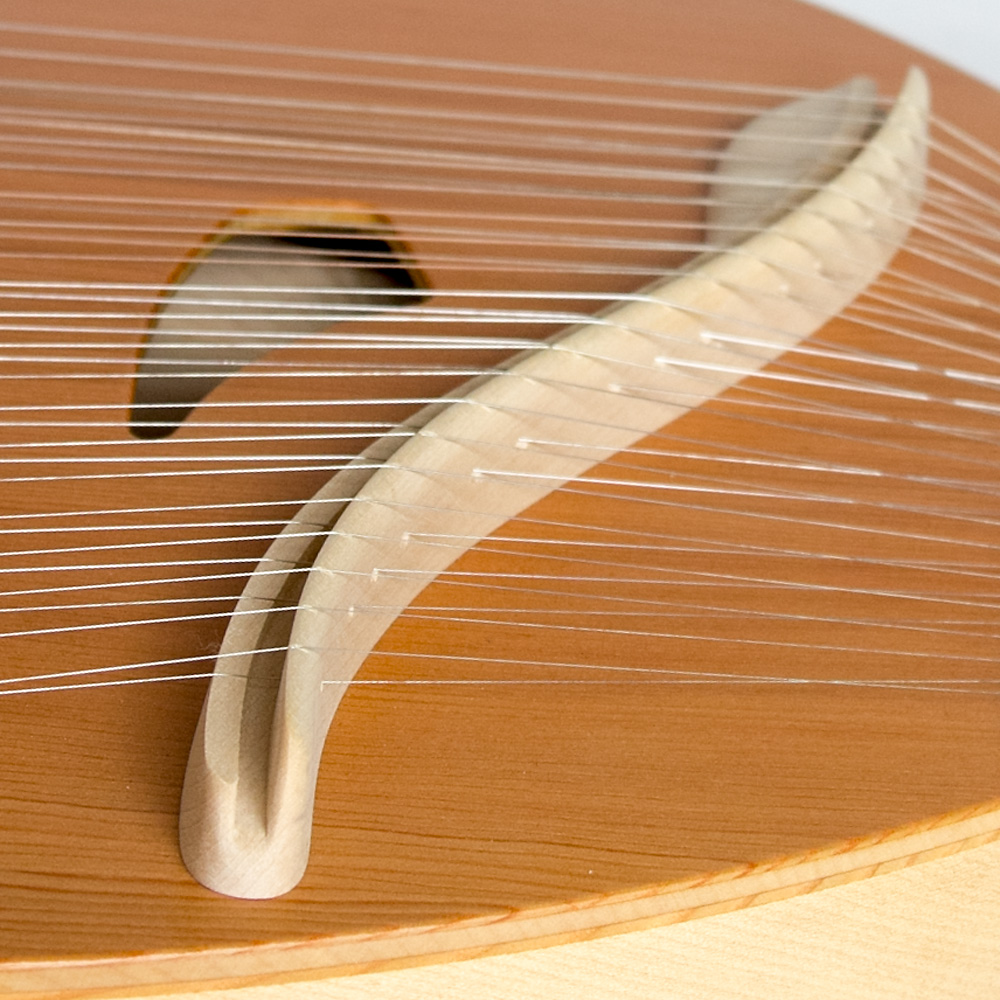 ライアー ライヤー 35弦 コロイ choroi 弦楽器 ハープ 竪琴 楽器