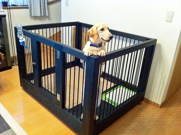 犬小屋製作工房K - 木製 犬用室内サークル・ケージ