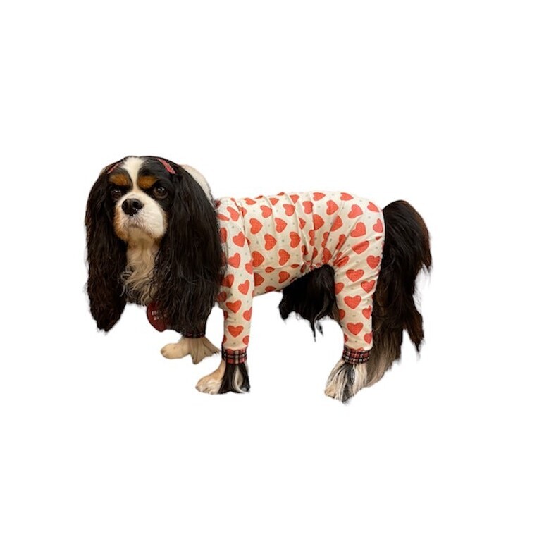 10％OFF【キャバスーツ LIMITED】LOVE & CHECK ドッグウェア