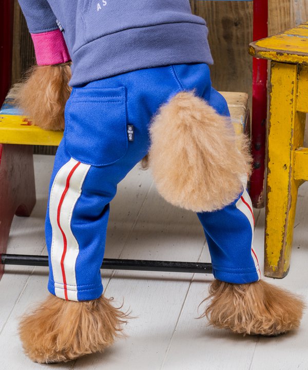 40％OFF】【as know as de wan】N START☆PT ドッグウェア