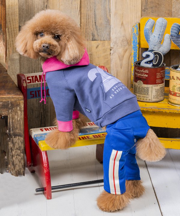 アズノゥアズデワン asknowasdewan NU バッファローPT MD