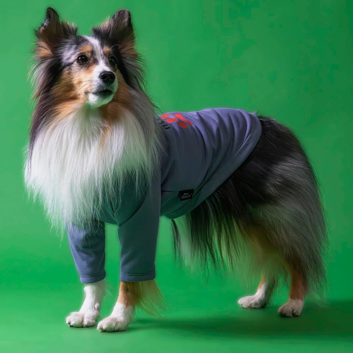 アルファアイコン】ドライニットティー(2024年モデル) - INU