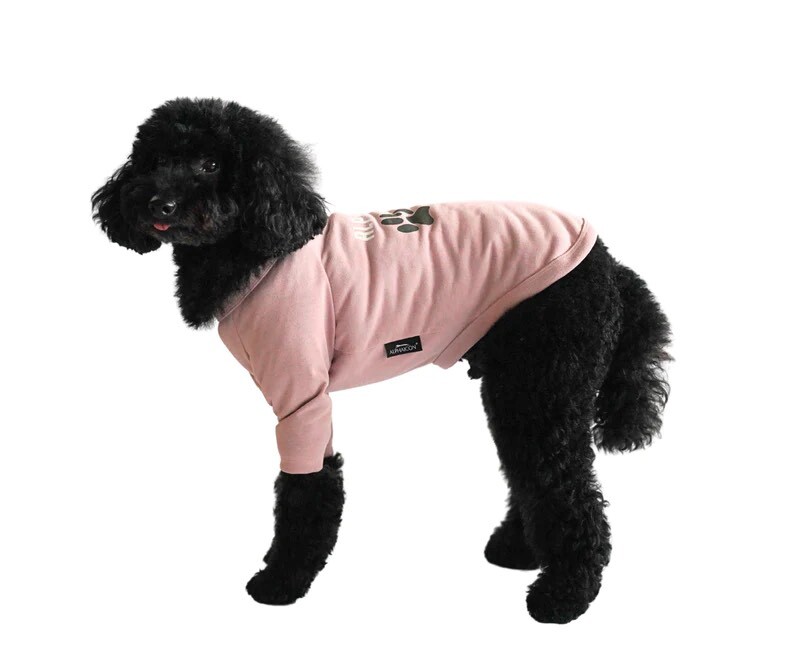 アルファアイコン】ドライニットティー(2024年モデル) - INU