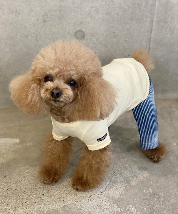 10％OFF】【as know as de wan】NシンプリーT ドッグウェア