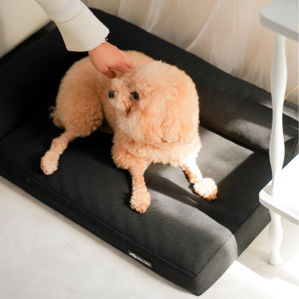 極上 ふかふか 寝落ち確定 ベッド – INULABO公式ショップ