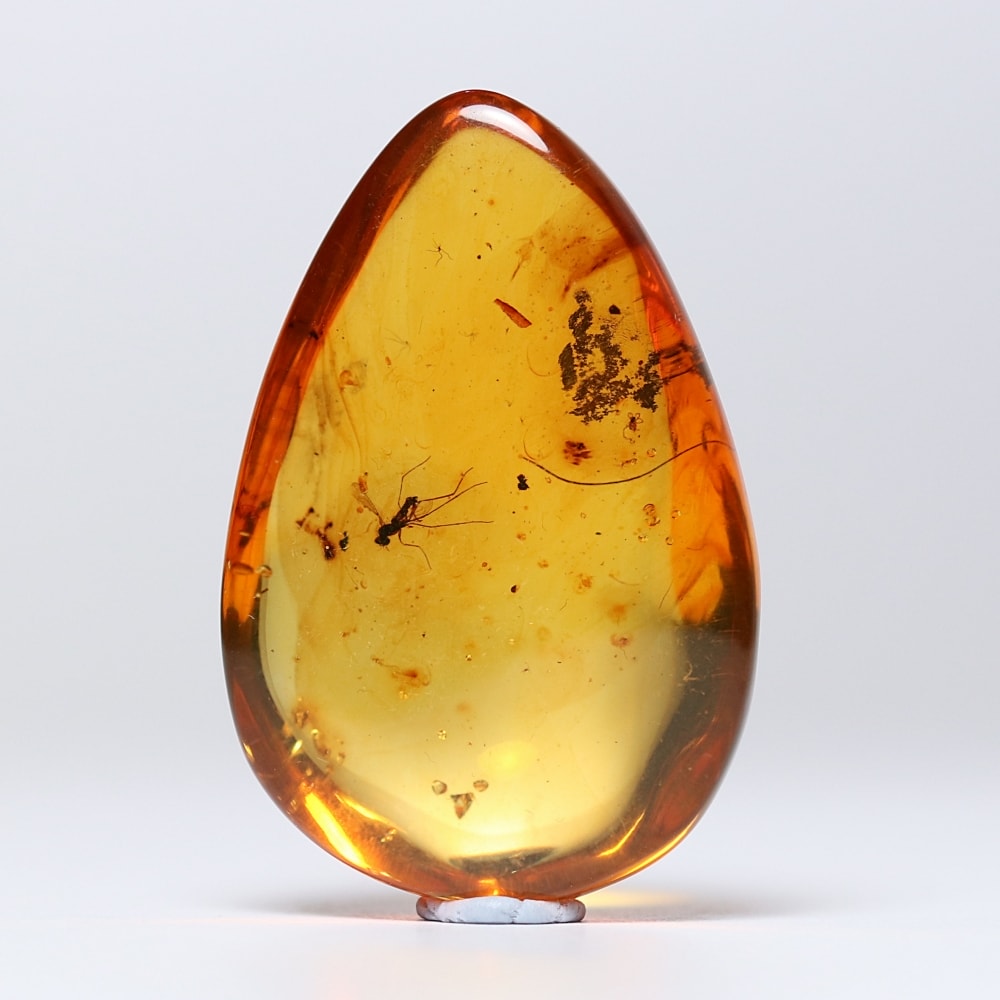 アンバー 琥珀 昆虫 コレクション 天然石 虫入り 価値上がる 宝石